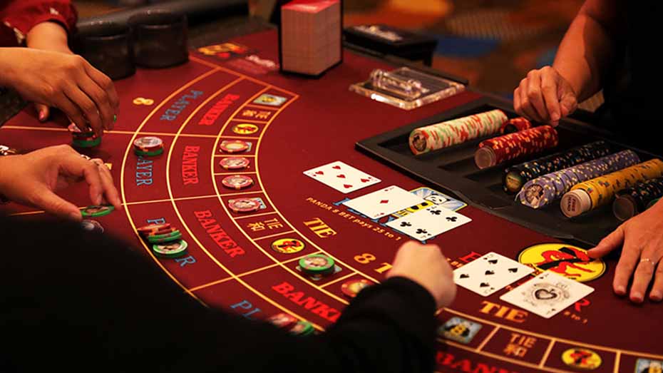 about rummy wealth: your gateway to prosperity through play